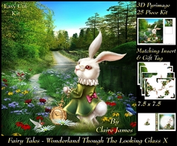 Fairy Tales - Wonderland Through The Looking Glass 10 - Special 3D Decoupage + Insert & Tag