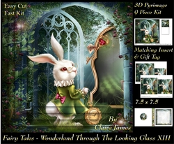 Fairy Tales - Wonderland Through The Looking Glass 13 - Pyrimage/Pyramid + Insert & Tag