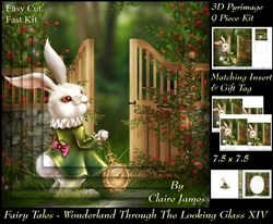 Fairy Tales - Wonderland Through The Looking Glass 14 - Pyrimage/Pyramid + Insert & Tag