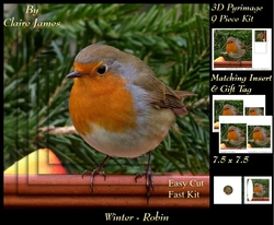 Winter - Robin - Pyrimage/pyramid + Insert & Tag