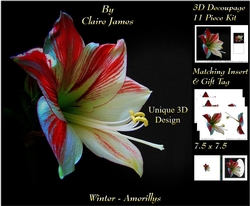 Winter - Amerillys - Decoupage + Insert & Tag