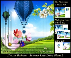 Hot Air Balloons - Balloon Daisy Flight 2 - Pyrimage/Pyramid + Insert & Tag