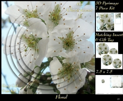Botanical & Floral - Apple Blossom - 3D Pyrimage + Insert & Tag