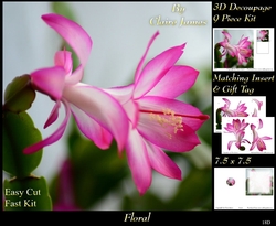 Botanical & Floral - Cactus Flower Christmas Rose 3 - 3D Decoupage + Insert & Tag