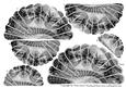 Fan Unusual Black Lace Goth Vintage Pyrimage Pyramid Stacker