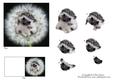 Meet Jed the Cute Baby Hedgehog + Decoupage & Tag