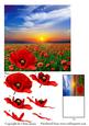 Simply Poppies - Red Poppy Field Decoupage & Matching Tag