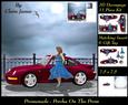 Promenade - Porcha on Prom Red 3D Decoupage Insert & Tag