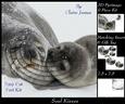 Snow Babies- Seal Kisses 3D Pyrimage Fast Kit + Insert & Tag