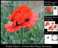 Simply Poppies - Oriental Red Poppy Decoupage +insert & Tag