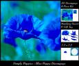 Simply Poppies - Blue Poppy 3D Decoupage + Insert & Tag
