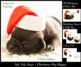 Yule Tide Magic - Cute Christmas Pug Puppy + Insert & Tag