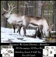 Because We Love Furries - 3D Reindeers + Insert & Tag
