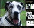 Furry Friends & Familiars - Dogs - Great Dane Piramid +tag+