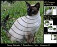 Furry Friends & Familiars - Cats - Siamese 2 Insert & Tag