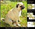 Furry Friends & Familiars - Dogs - Pug 4 + Insert & Tag