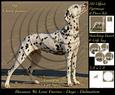 Furry Friends & Familiars - Dogs - Dalmation 2 +insert & Tag