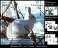 Because We Love Furries - Arctic Hare Pyrimage +insert & Tag