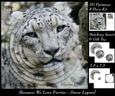 Because We Love Furries - Snow Lepard Pyrimage +insert & Tag