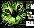 Because We Love Furrys - Electric Fantasy Cat 2 + Insert+tag