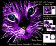 Because We Love Furrys - Electric Fantasy Cat + Insert+tag