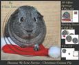 Because We Love Furries - Christmas Guinea Pig Pyrimage +tag