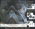 Furry Friends & Familiars - Dogs - Black Pug 6 +insert & Tag
