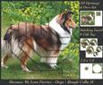 Furry Friends & Familiars - Dogs - Rough Collie 2 + Tag +