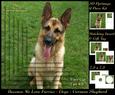 Furry Friends & Familiars - Dogs - German Shepherd Pyrimage+