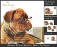 Furry Friends & Familiars - Dogs - Dog in Glasses +tag+