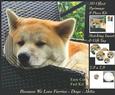 Furry Friends & Familiars - Dogs - Comfy Akita +insert & Tag