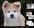 Furry Friends & Familiars - Puppy - Husky Cutie +insert+tag