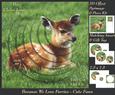 Because We Love Furries - Beautiful Fawn Pyrimge +insert+tag