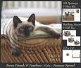 Furry Friends & Familiars - Cats - Siamese Sprawl Pyrimage +