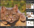 Furry Friends & Familiars - Cats - 3 Decoupage + Insert+tag