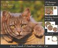 Furry Friends & Familiars - Cats - 3 Pyrimage + Insert+tag