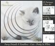 Furry Friends & Familiars - Cats - Pretty in White Deco +tag