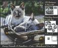 Furry Friends & Familiars Cats Scateboard for Cats + Tag +