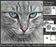 Furry Friends & Familiars - Cats - Beautiful & He Knows It +