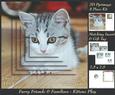 Furry Friends & Familiars - Kitten Play + Insert & Tag