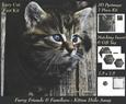 Furry Friends & Familiars - Kitten Hide Away +insert & Tag