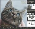 Furry Friends & Familiars - Cats - Inquisitive +insert+tag