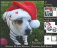 Because We Love Furries - Christmas - Jack Russel +tag+