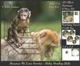 Because We Love Furries - Baby Monkey Ride + Insert & Tag