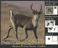 Because We Love Furries - Caribou + Insert & Tag