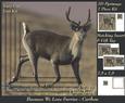 Because We Love Furries - Caribou Pyrimage + Insert & Tag