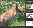 Because We Love Furries - Laughing Fox + Insert & Tag