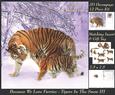 Because We Love Furries - Gorgeous Tigers in the Snow 3 Tag+