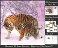 Because We Love Furries - Gorgeous Tigers in the Snow 4 Tag+