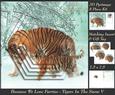 Because We Love Furries - Gorgeous Tigers in the Snow 5+tag+